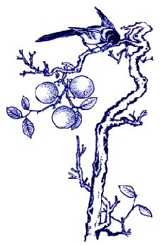 中國青花瓷傳統圖案寓意全集